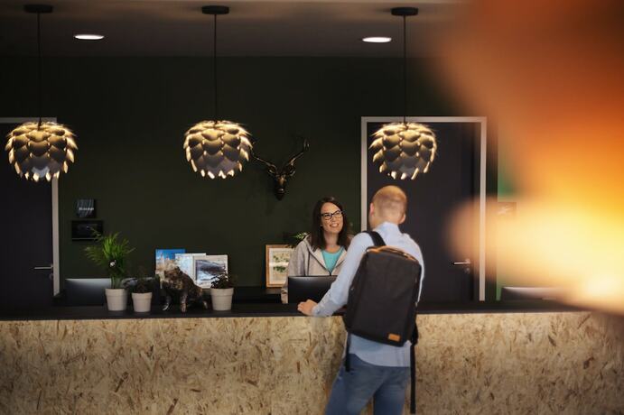 Imagen general del the niu Hop. Foto 3