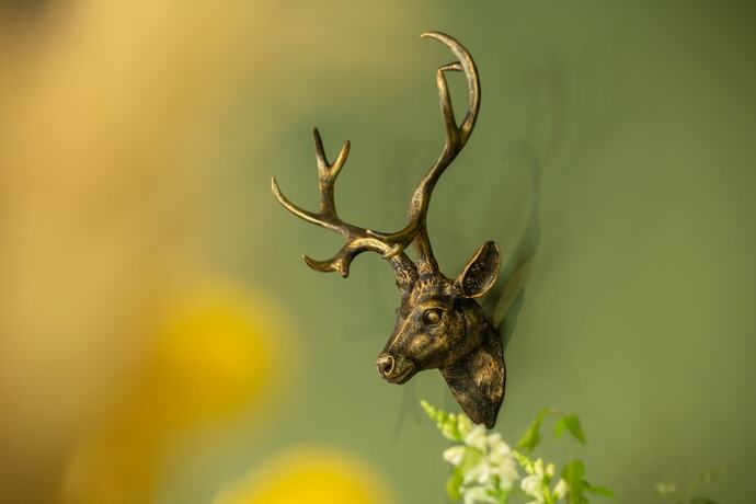 Imagen general del the niu Hop. Foto 5