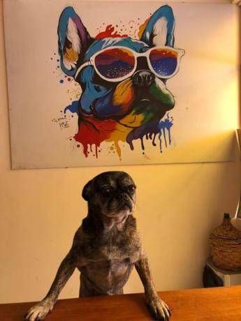 Imagen general del the weekend hostel. Foto 5