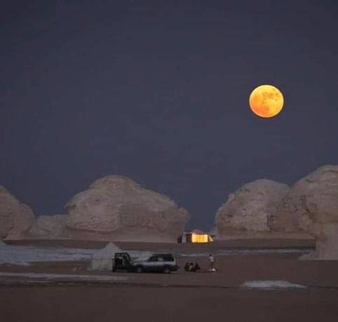 Imagen general del white desert safari camp. Foto 4