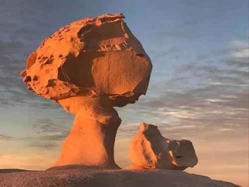 Imagen general del white desert safari camp. Foto 9