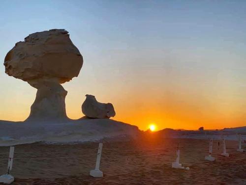 Imagen general del white desert safari camp. Foto 15