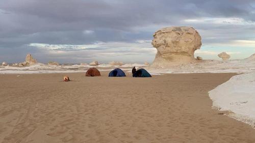 Imagen general del white desert safari camp. Foto 16