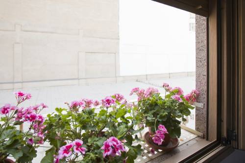 Imagen de la habitación del Albergue Albas. Foto 13