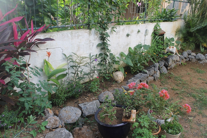 Imagen de los exteriores del Albergue Auberge Miko. Foto 8