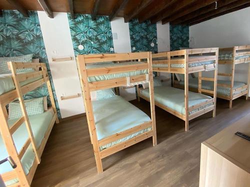 Imagen de la habitación del Albergue COCOS SURFHOUSE. Foto 17