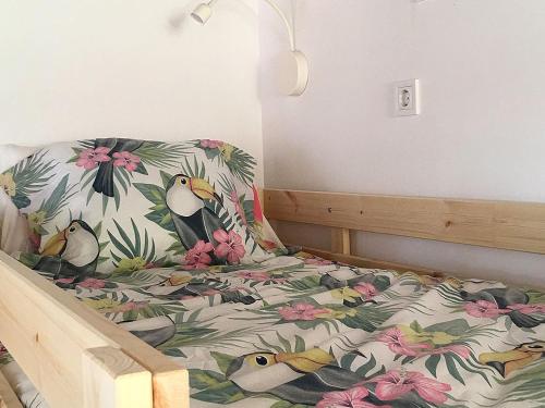 Imagen general del Albergue COCOS SURFHOUSE. Foto 11