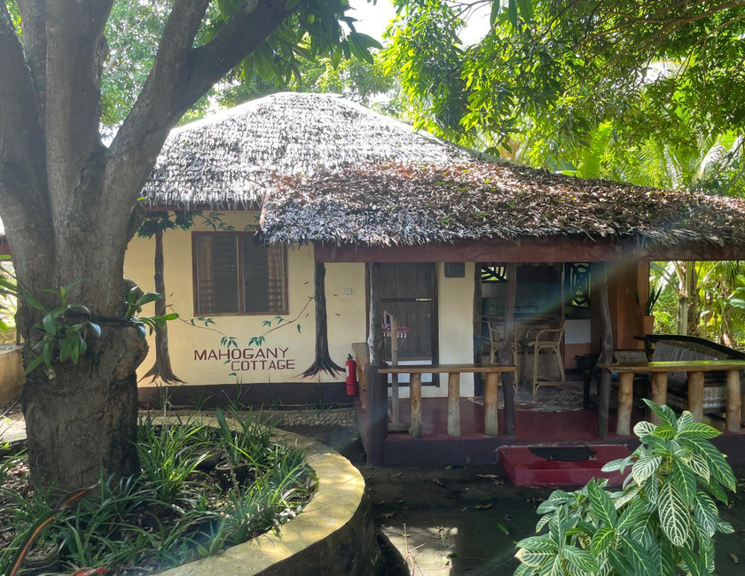 Imagen general del Albergue Chelle's Guesthouse and Backpackers. Foto 14