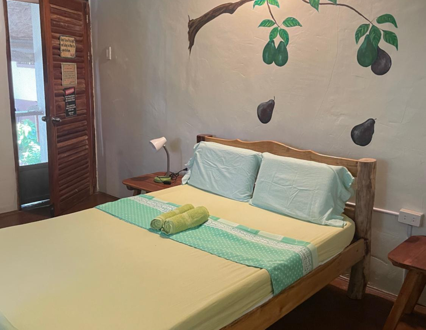 Imagen general del Albergue Chelle's Guesthouse and Backpackers. Foto 17