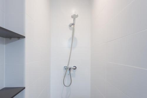 Imagen general del Albergue Colegio Mayor Galileo Galilei. Foto 9