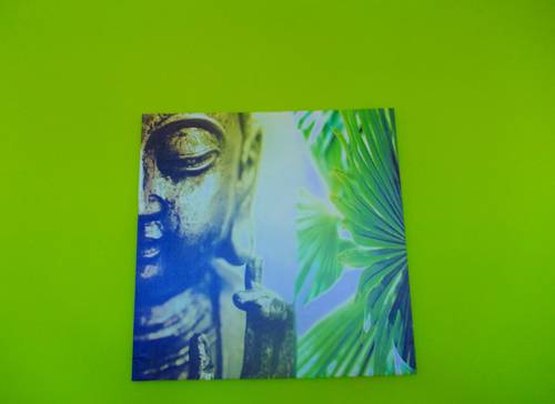 Imagen de la habitación del Albergue Dive Resort Ocean Dreams Tenerife - Hostel. Foto 9