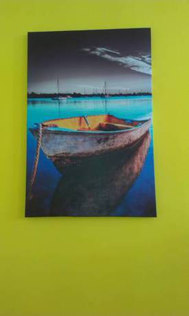 Imagen de la habitación del Albergue Dive Resort Ocean Dreams Tenerife - Hostel. Foto 13