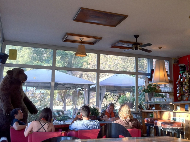 Imagen del bar/restaurante del Albergue Inout. Foto 5