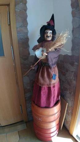 Imagen general del Albergue Jumboli. Foto 5