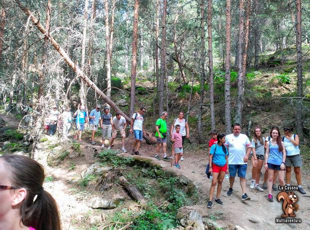 Imagen general del Albergue La Casona Del Pinar Albergue. Foto 17