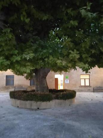 Imagen general del Albergue Maella. Foto 14