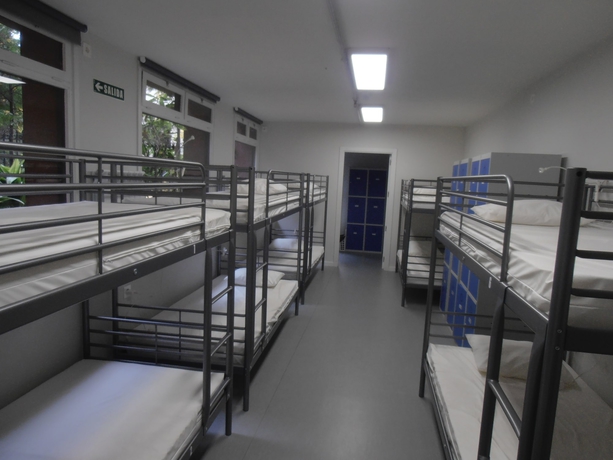 Imagen de la habitación del Albergue Plaza Catedral - Hostel. Foto 6