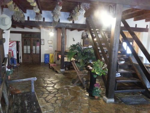 Imagen general del Albergue San Pelayo. Foto 16