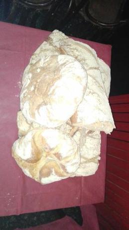 Imagen general del Albergue Senda Sur. Foto 4
