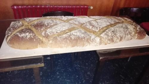 Imagen general del Albergue Senda Sur. Foto 7