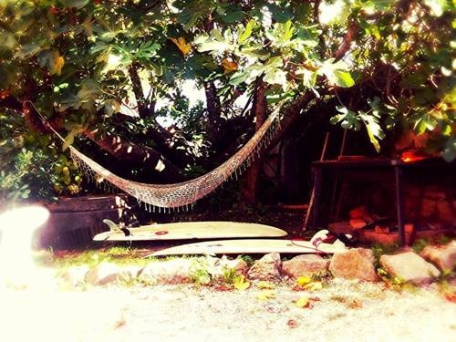 Imagen general del Albergue Surftolive House - Hostel. Foto 2
