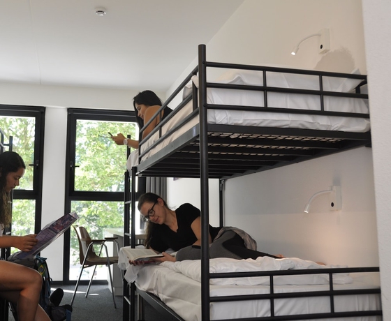 Imagen de la habitación del Albergue The Ash. Foto 2