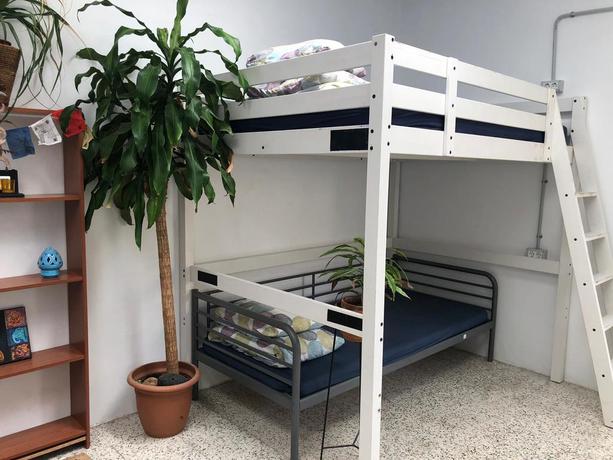 Imagen de la habitación del Albergue Tropical House. Foto 2