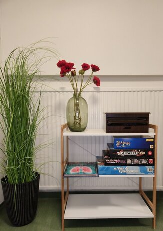 Imagen general del Albergue Vandrarhemmet Eken. Foto 9