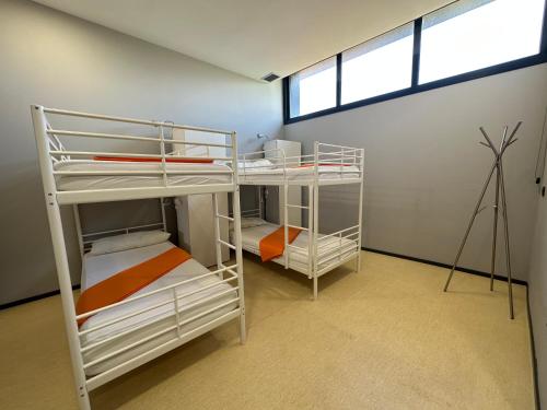 Imagen de la habitación del Albergue Vigo Beds and Rooms. Foto 15