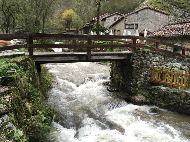 Imagen general del Albergue Villa de Bulnes. Foto 12