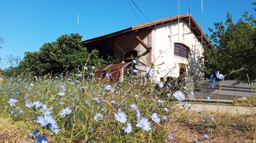 Imagen general del Albergue & Cafeter&iacute;a V&iacute;a de la Plata Herv&aacute;s. Foto 1
