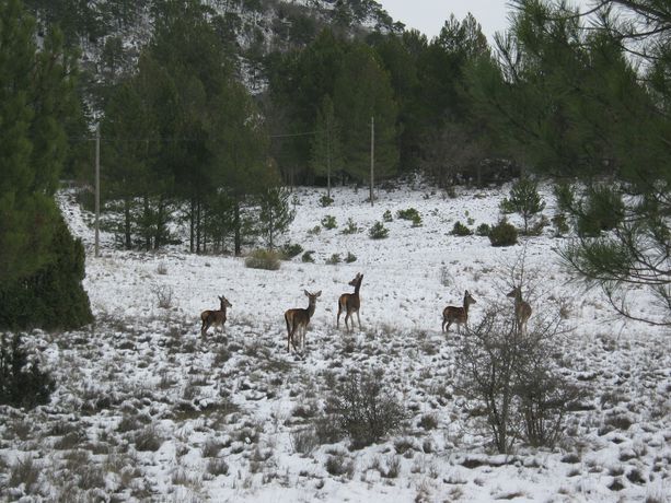 Imagen general del Alojamiento Rural AIRE Turismo Rural. Foto 2