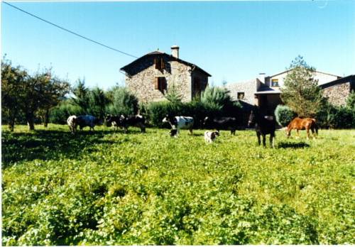 Imagen general del Alojamiento Rural Casa Rural La Vall del Cadi. Foto 1
