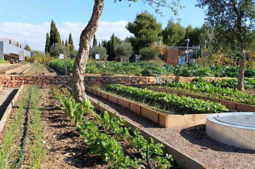 Imagen de la habitación del Alojamiento Rural Centro de Agroecologia y Medio Ambiente de Murcia. Foto 11
