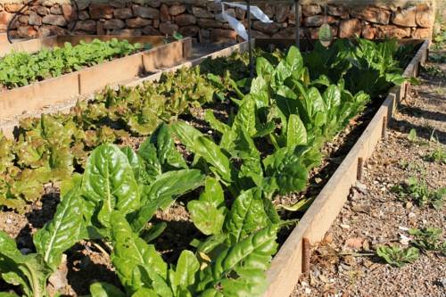 Imagen de la habitación del Alojamiento Rural Centro de Agroecologia y Medio Ambiente de Murcia. Foto 16