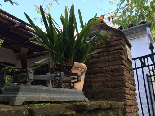 Imagen de los exteriores del Alojamiento Rural Cortijo el Berrocal. Foto 8