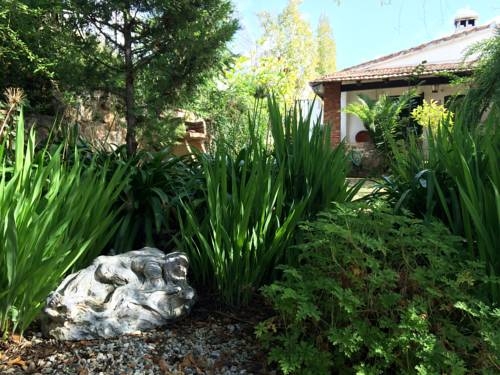 Imagen de los exteriores del Alojamiento Rural Cortijo el Berrocal. Foto 9