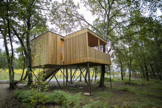 Imagen de los interiores del Alojamiento Rural Enoturismo María Manuela. Foto 8