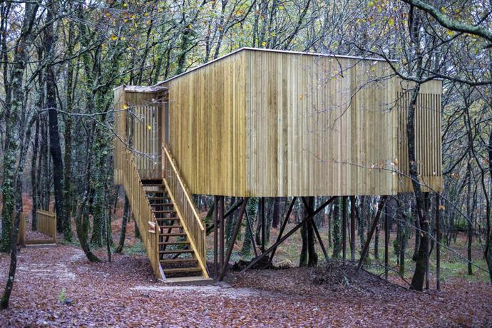 Imagen de los interiores del Alojamiento Rural Enoturismo María Manuela. Foto 9