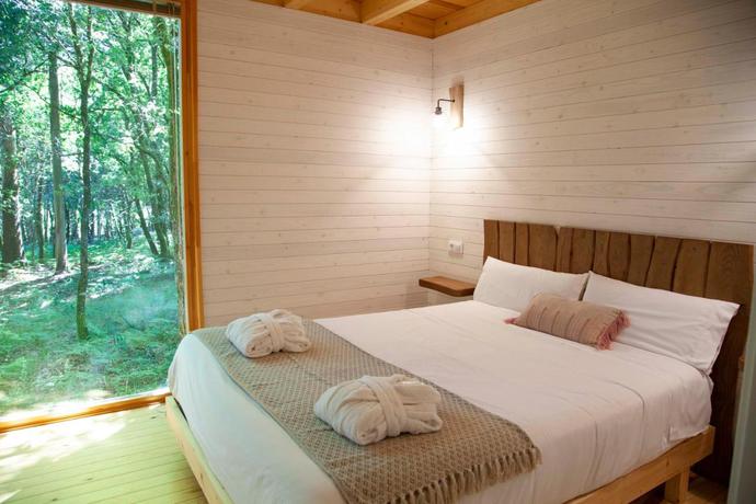 Imagen de la habitación del Alojamiento Rural Enoturismo María Manuela. Foto 4