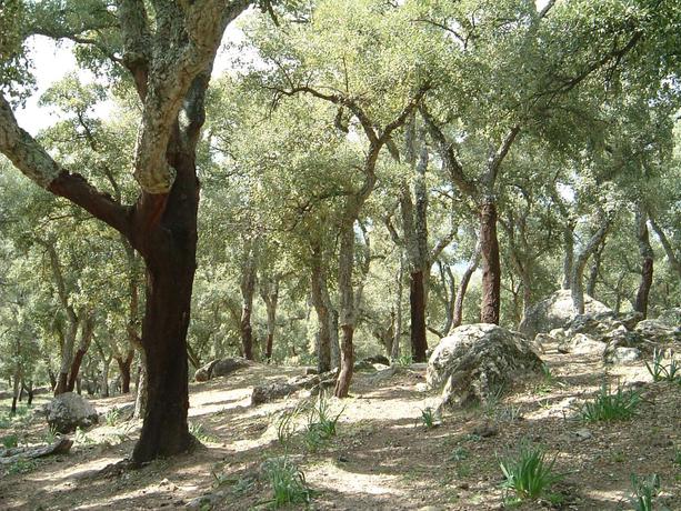 Imagen general del Alojamiento Rural Hospederia Casa De Las Piedras. Foto 3