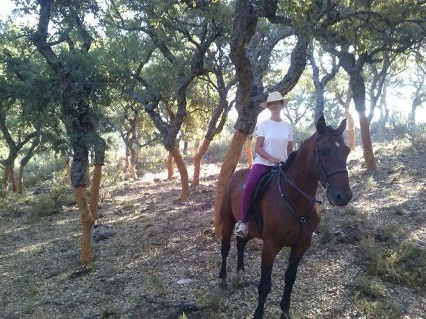 Imagen general del Alojamiento Rural Hospederia Casa De Las Piedras. Foto 15