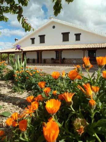 Imagen de los exteriores del Alojamiento Rural Los Laureles, Urda. Foto 13