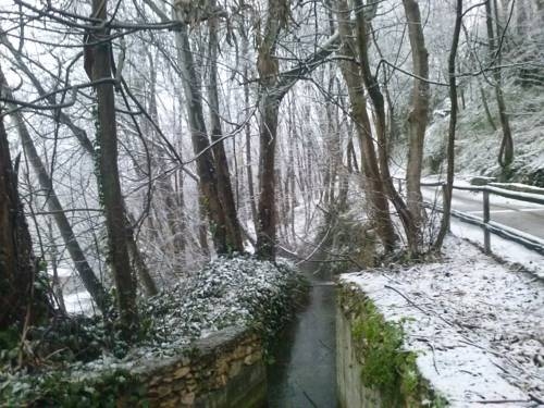 Imagen general del Alojamiento Rural MOLINO DEL PUENTE. Foto 2