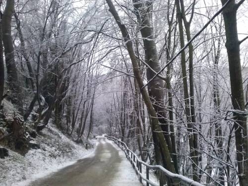 Imagen general del Alojamiento Rural MOLINO DEL PUENTE. Foto 15