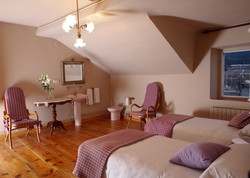 Imagen de la habitación del Alojamiento Rural Mas Sant Marc, Puigcerd&aacute;. Foto 8