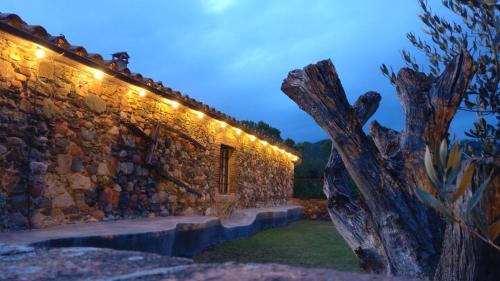 Imagen general del Alojamiento Rural Masia Can Bachs. Foto 2