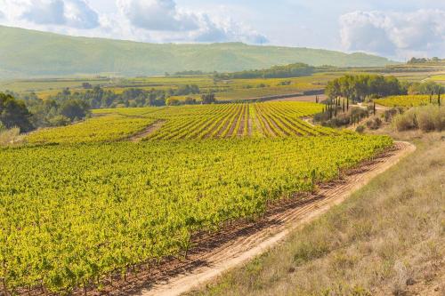 Imagen de la habitación del Alojamiento Rural Masia Can Canyes and Spa. Foto 5
