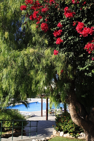Imagen de la piscina del Apartahotel Apartamentos Turísticos Janelas Do Mar. Foto 8