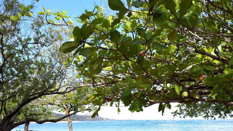 Imagen de los exteriores del Apartahotel Costambar. Foto 14